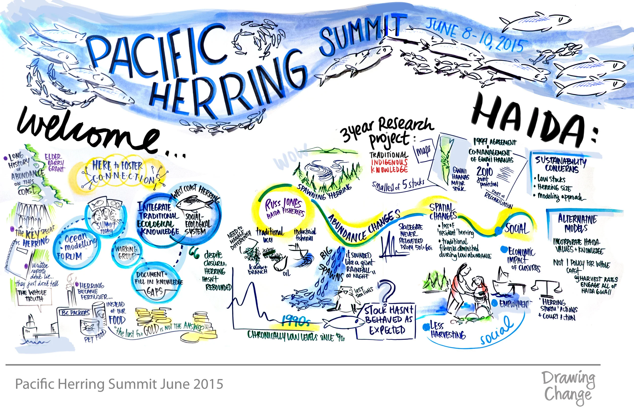 A visual representation of the perspectives on herring presented during the Ocean Modeling Forum’s kickoff summit. Image courtesy of Sam Bradd.