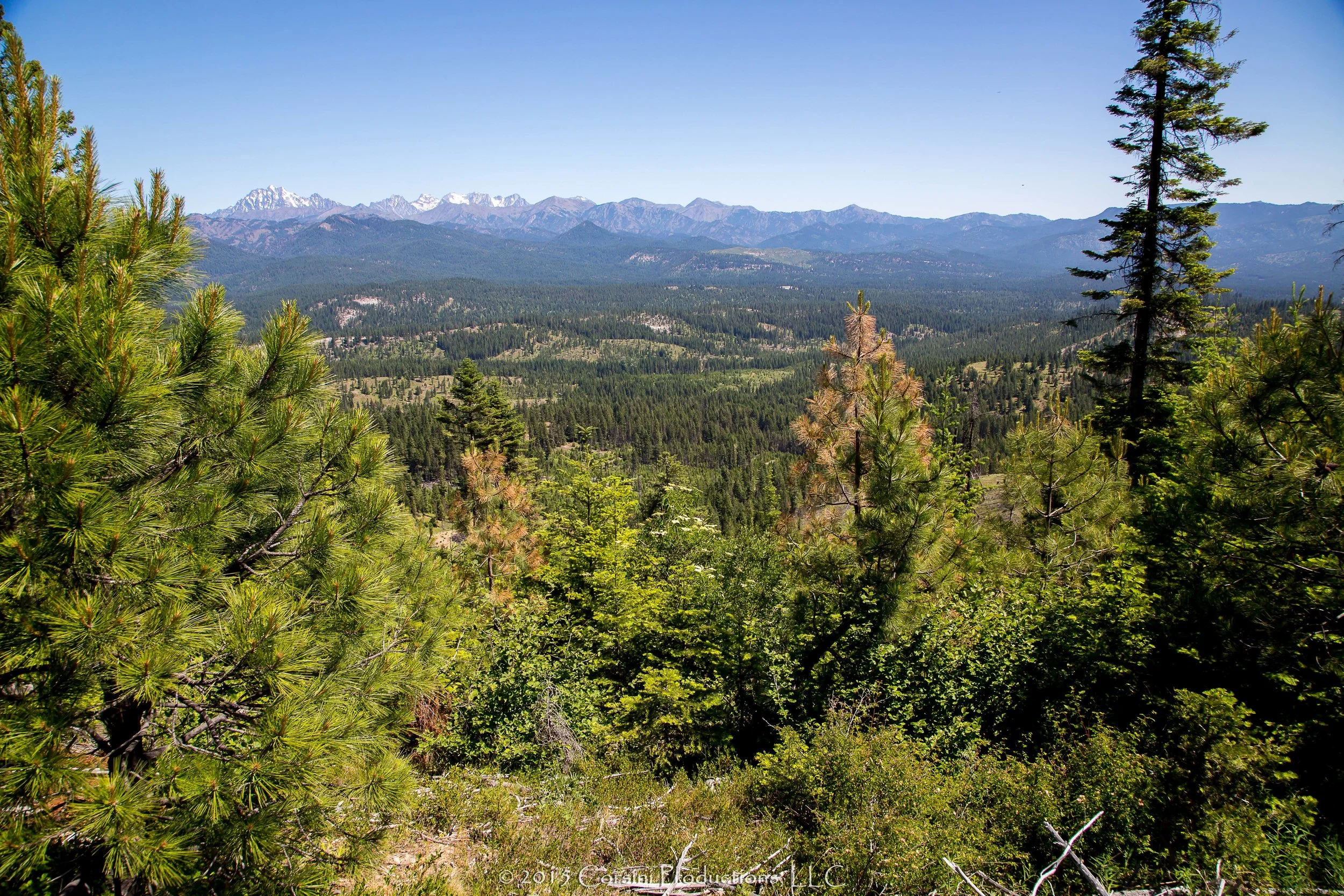 Volunteers Plant Trees on Cle Elum Ridge