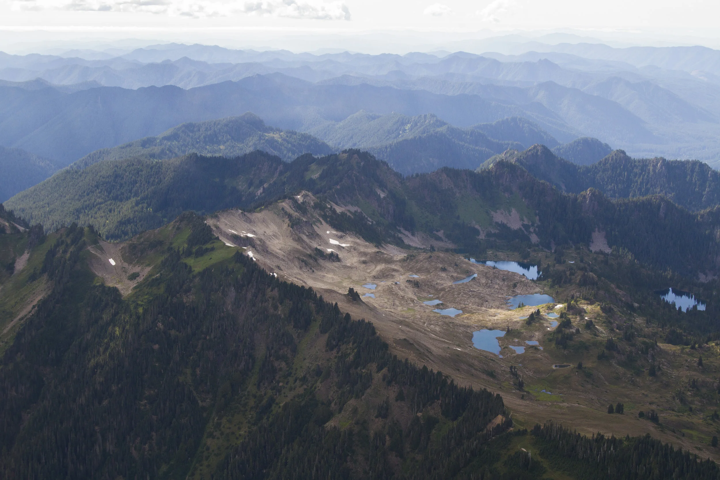 Drought Returns to Washington. Now What?