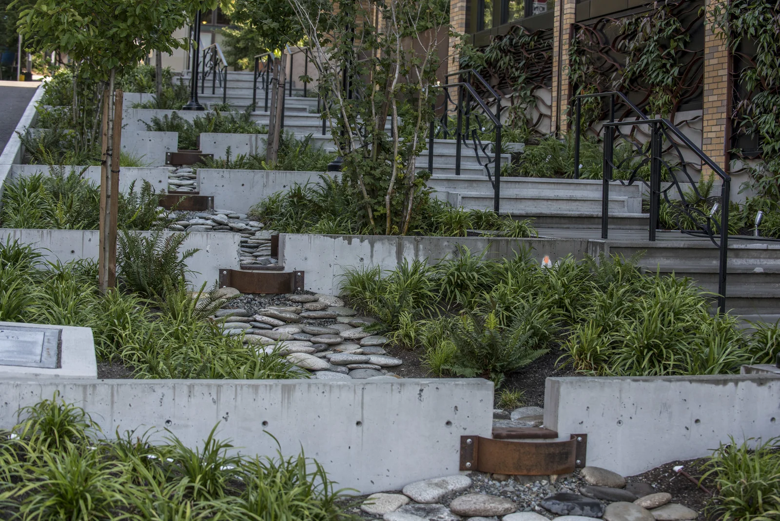 New study guides city planning for nature’s mental health benefits