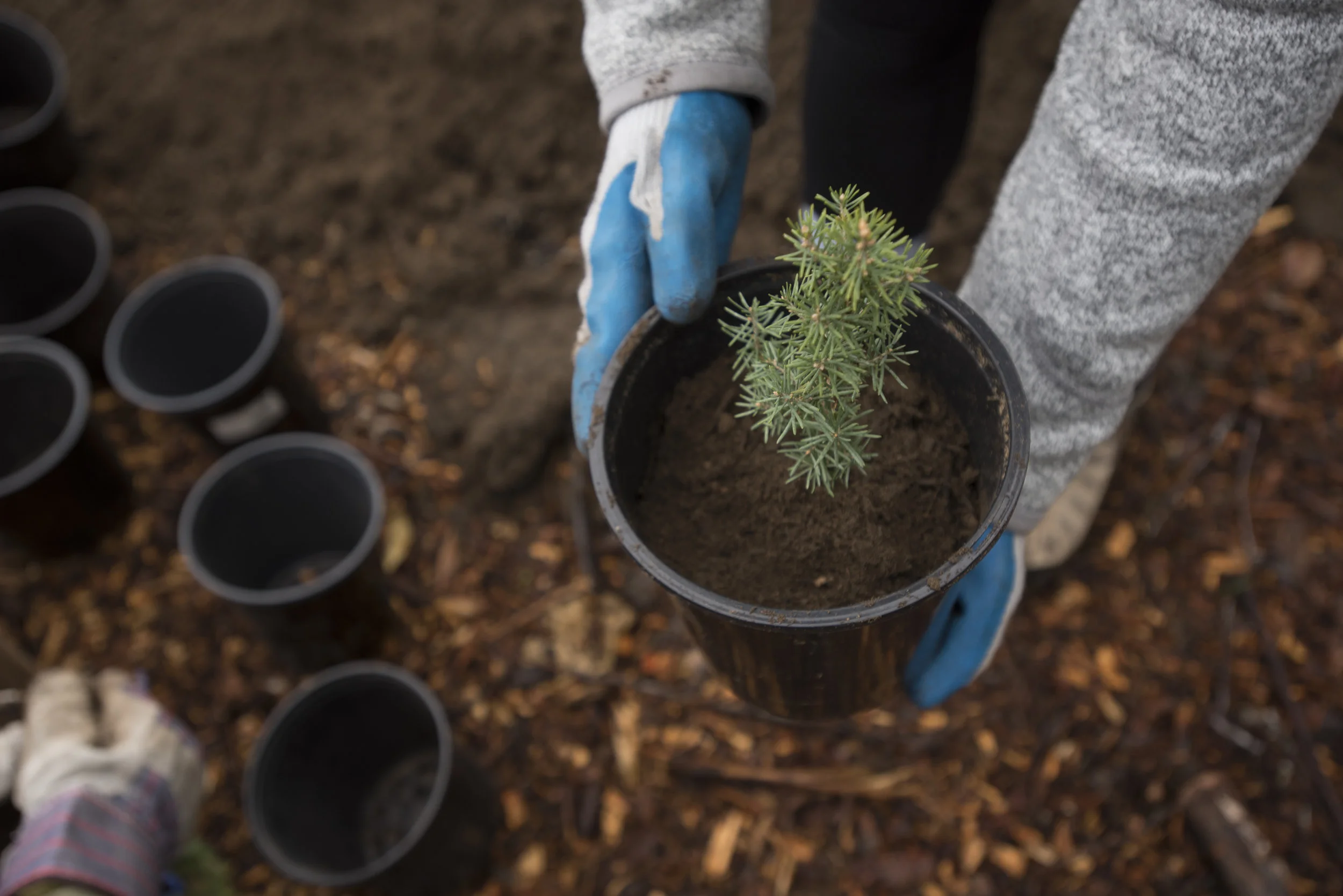 TNC_NorthCreekWhaleScout_HannahLetinich_022 (1).jpg