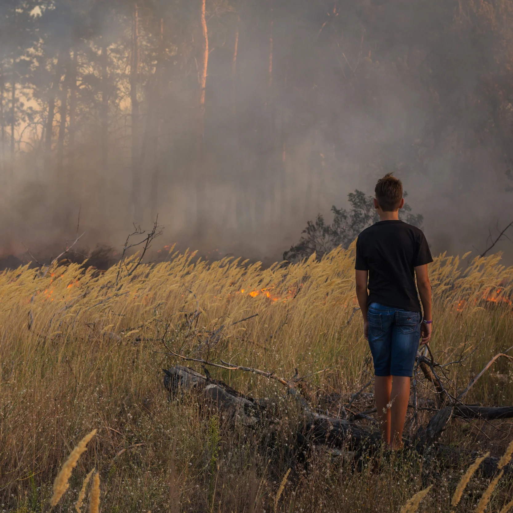 shutterstock_483374749 (2).jpg