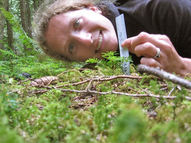 Ailene Ettinger, Quantitative EcologistAilene uses data and models to understand the species, communities, and ecosystems around us, especially effects of global change and conservation actions."Science in service of conservation, grounded in data."