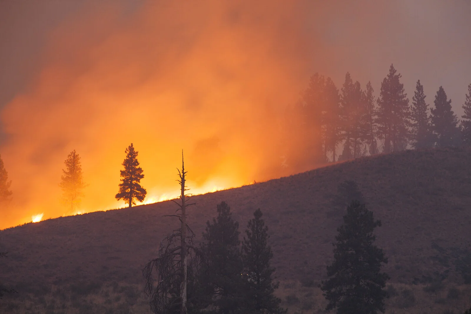 Contact your Legislators to Share Your Support for Dedicated Wildfire Funding