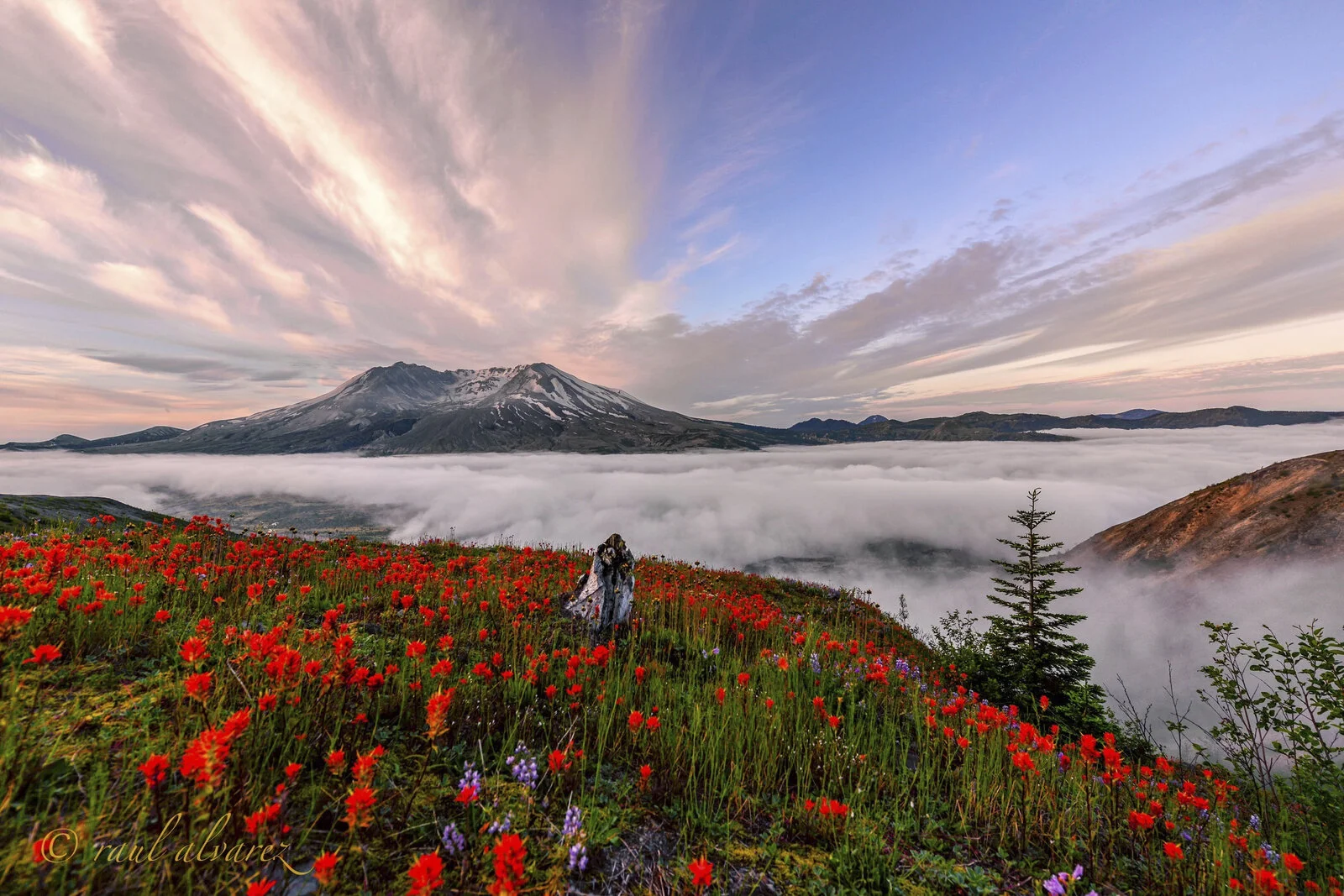 COVID-19: An Update From The Nature Conservancy in Washington