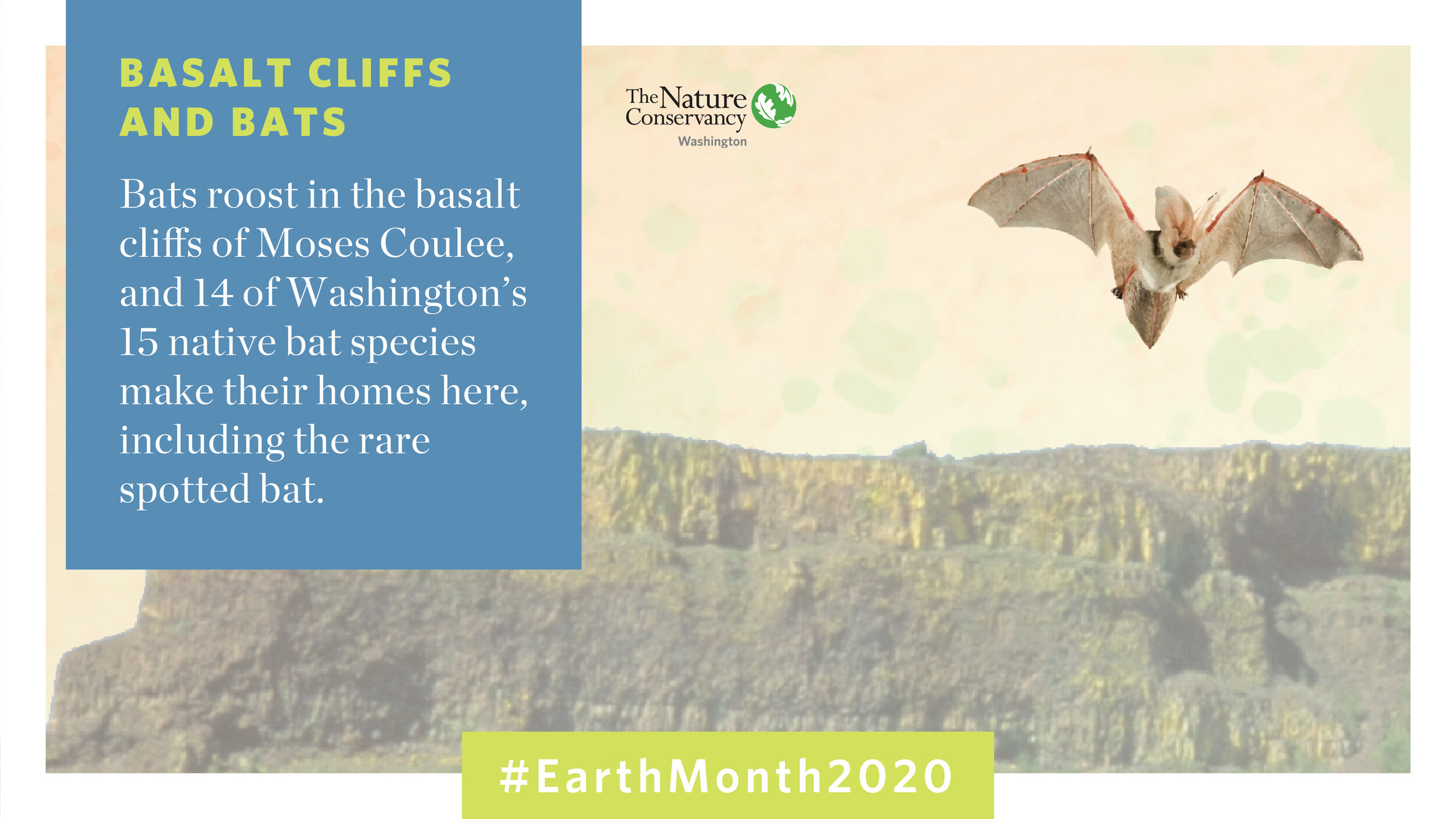 EarthMonth_SocialCards-06.jpg