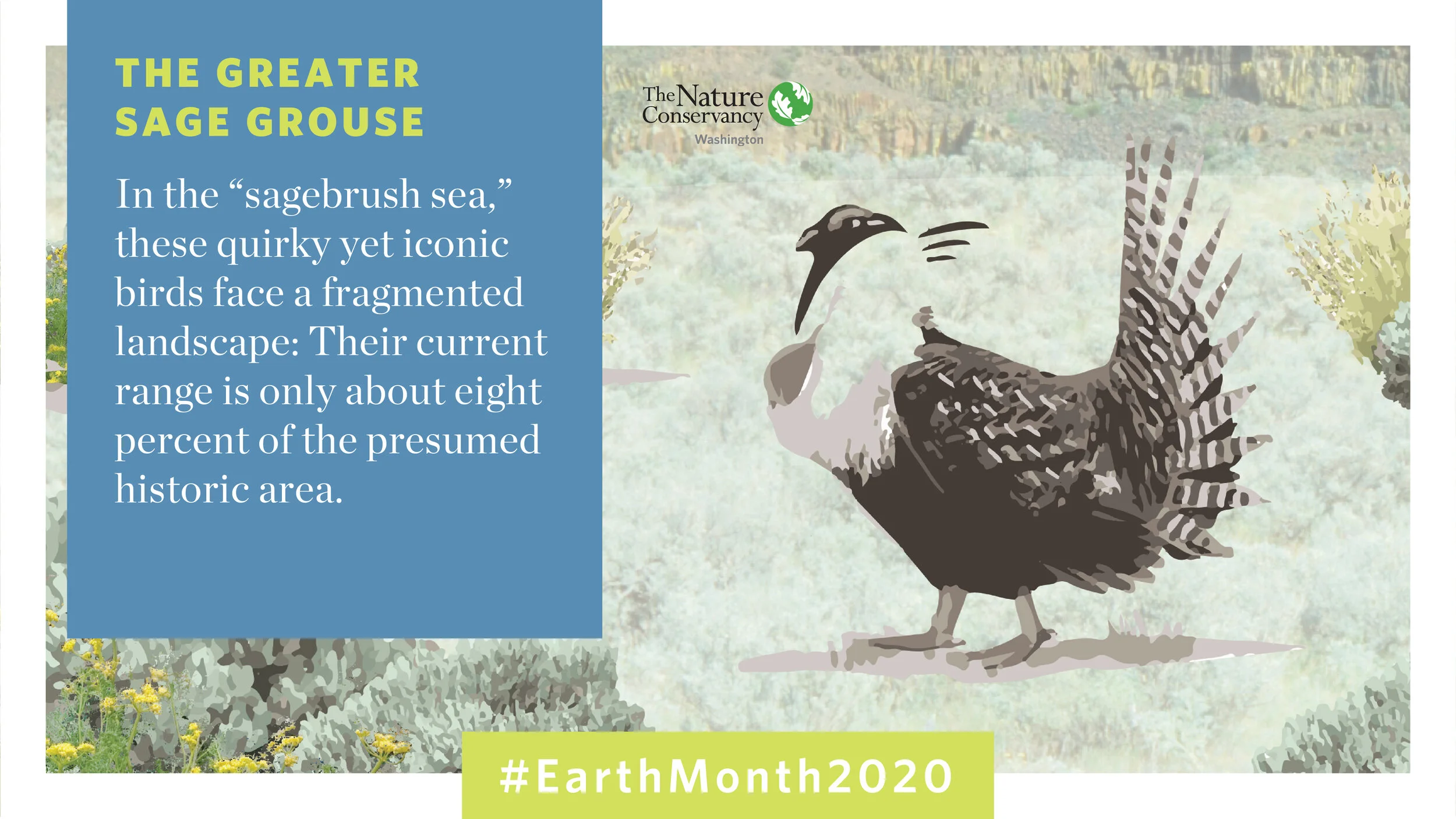EarthMonth_SocialCards-04.jpg