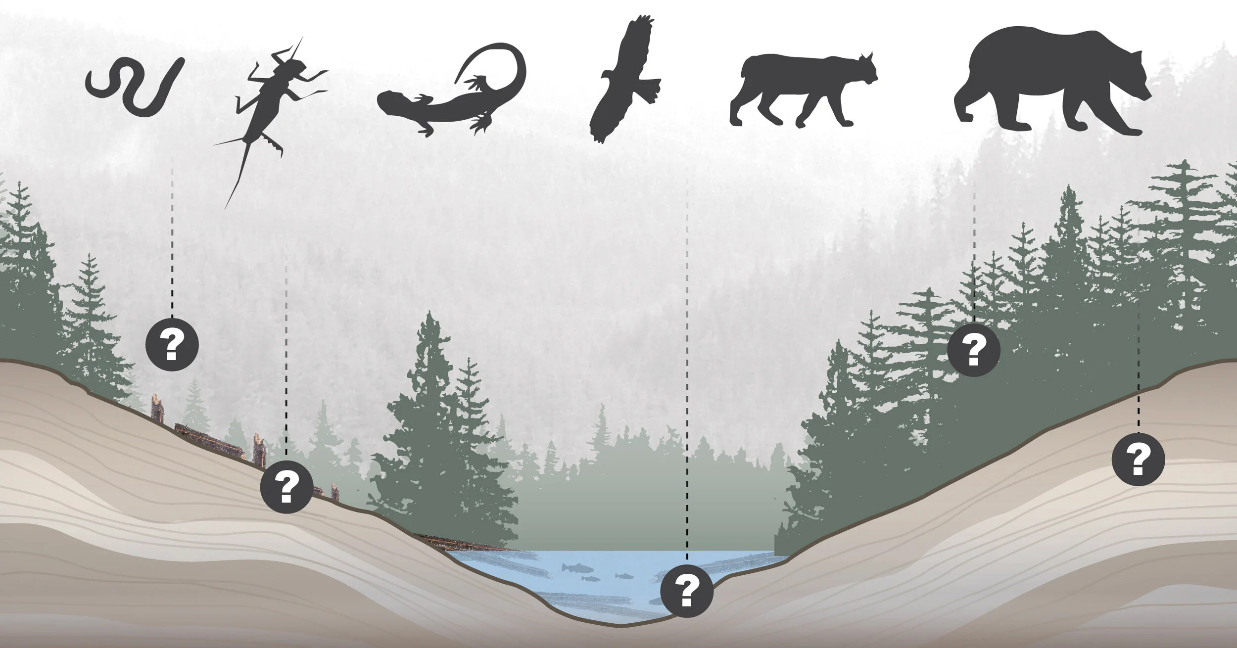 the nature conservancy in washington