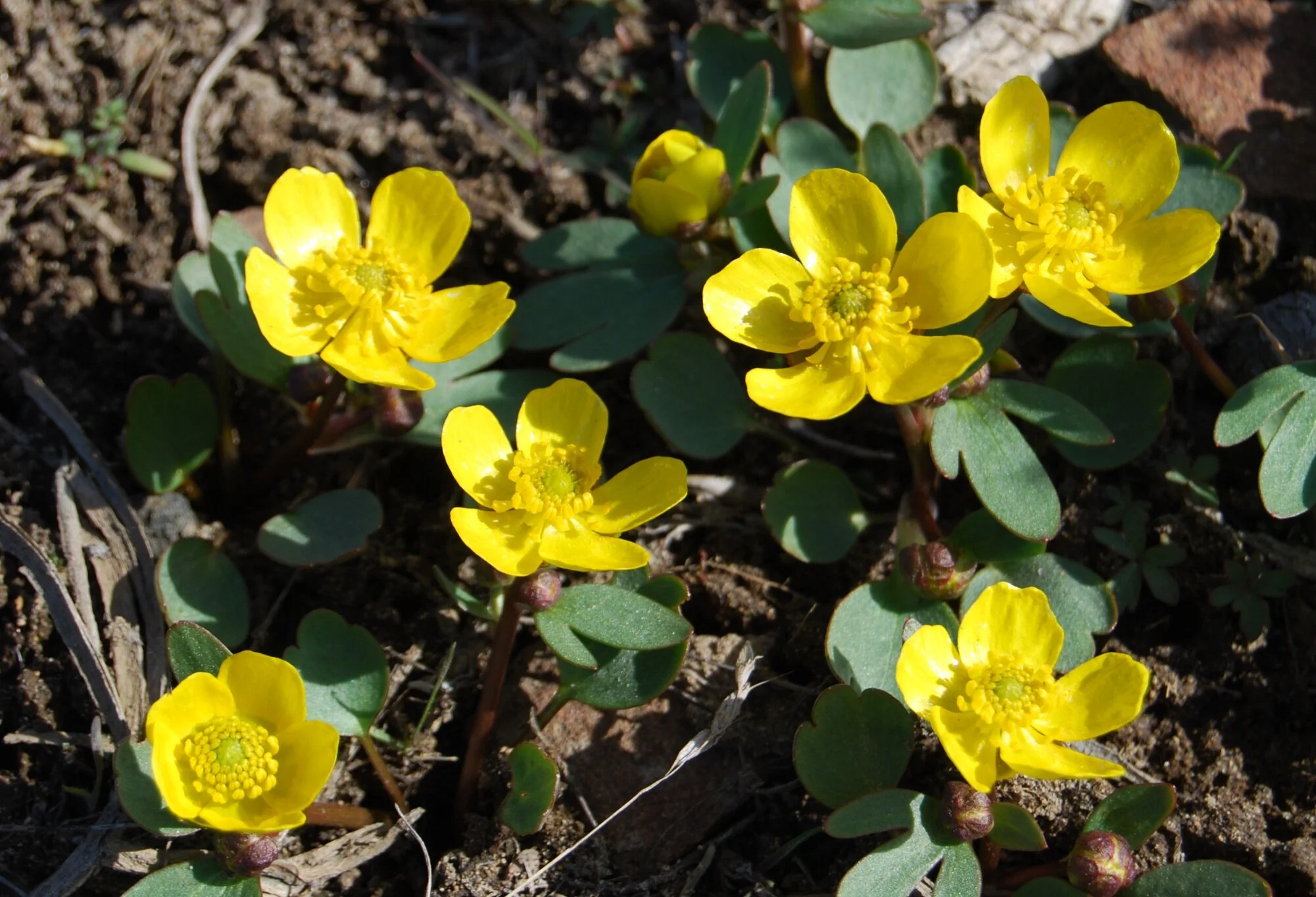 TwoMinute Takeaway What is Riprap? — The Nature Conservancy in Washington