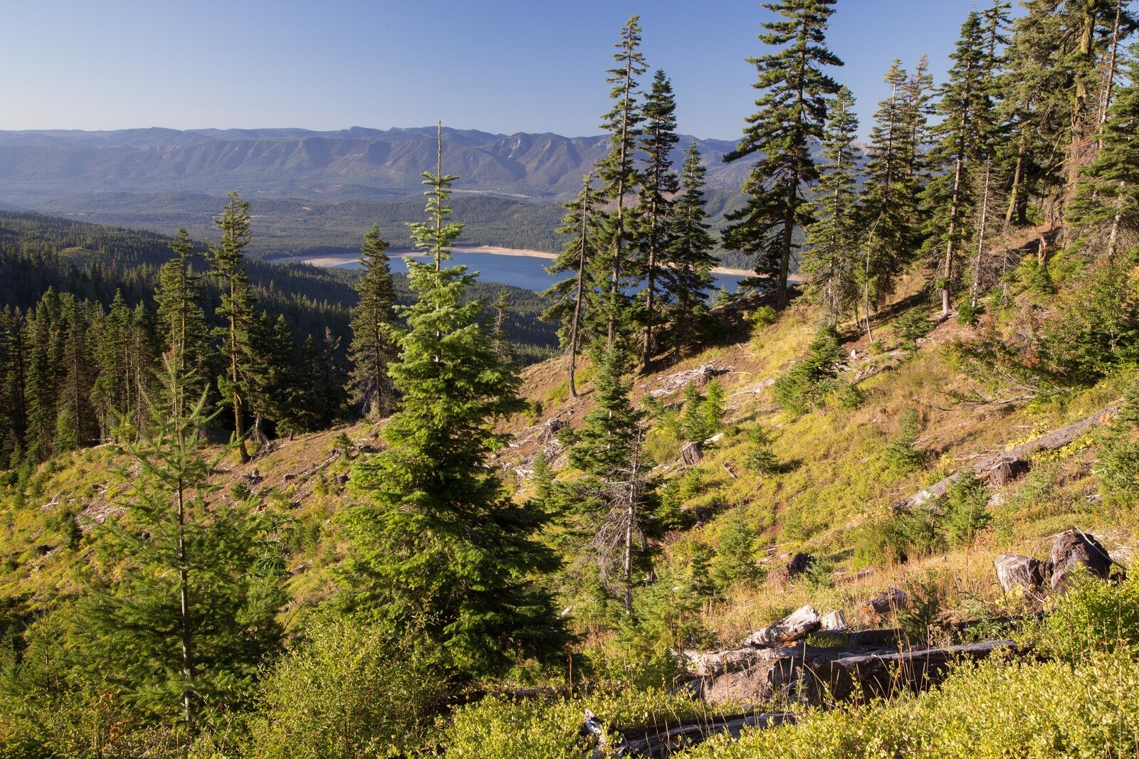 Conservancy’s Washington Lands Reopening with Caution