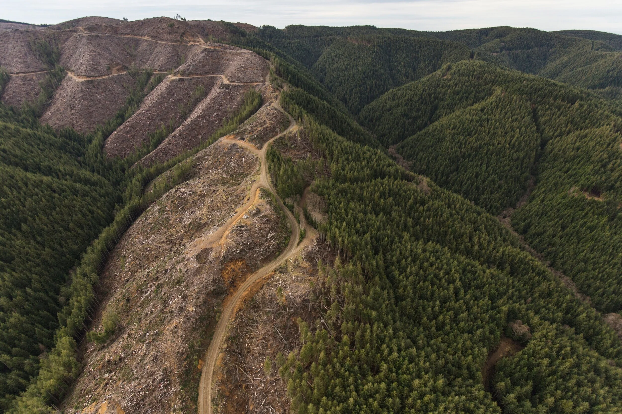 Ellsworth Headwaters Protected 