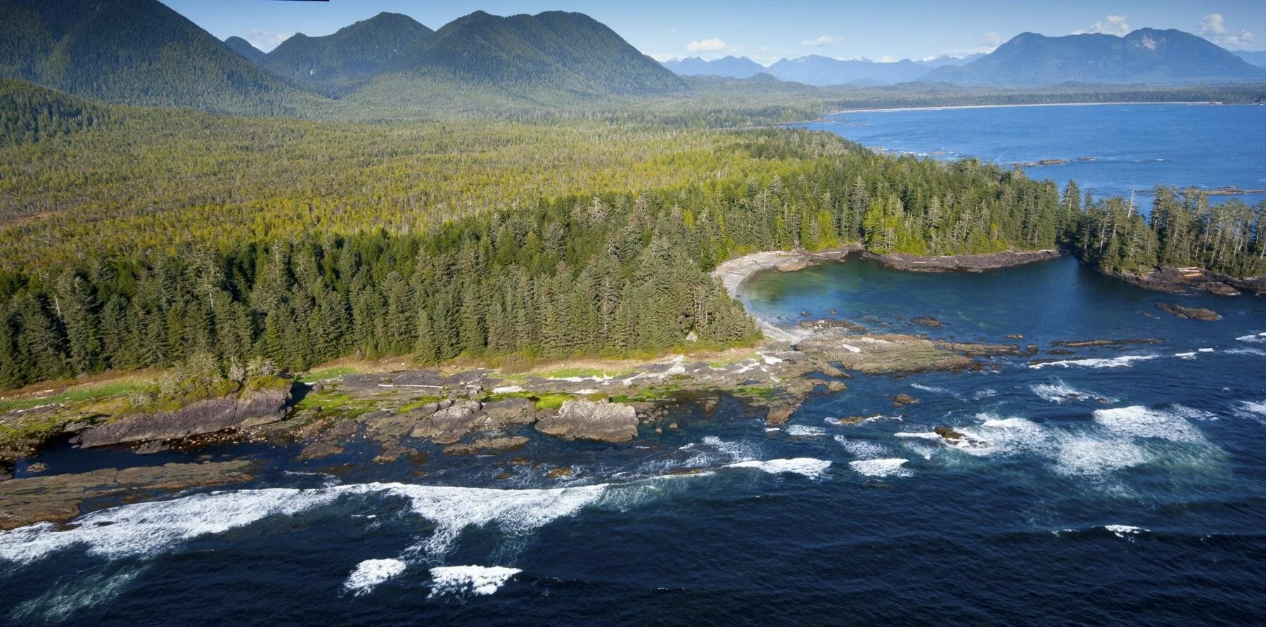 Bezos Earth Fund will be transformative for Emerald Edge communities and forests