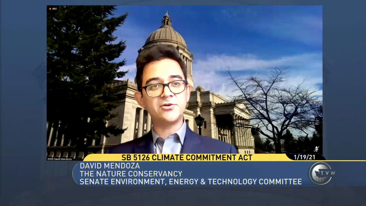 David testified virtually on a cap-and-invest bill. Screenshot of livestream via TVW.org.
