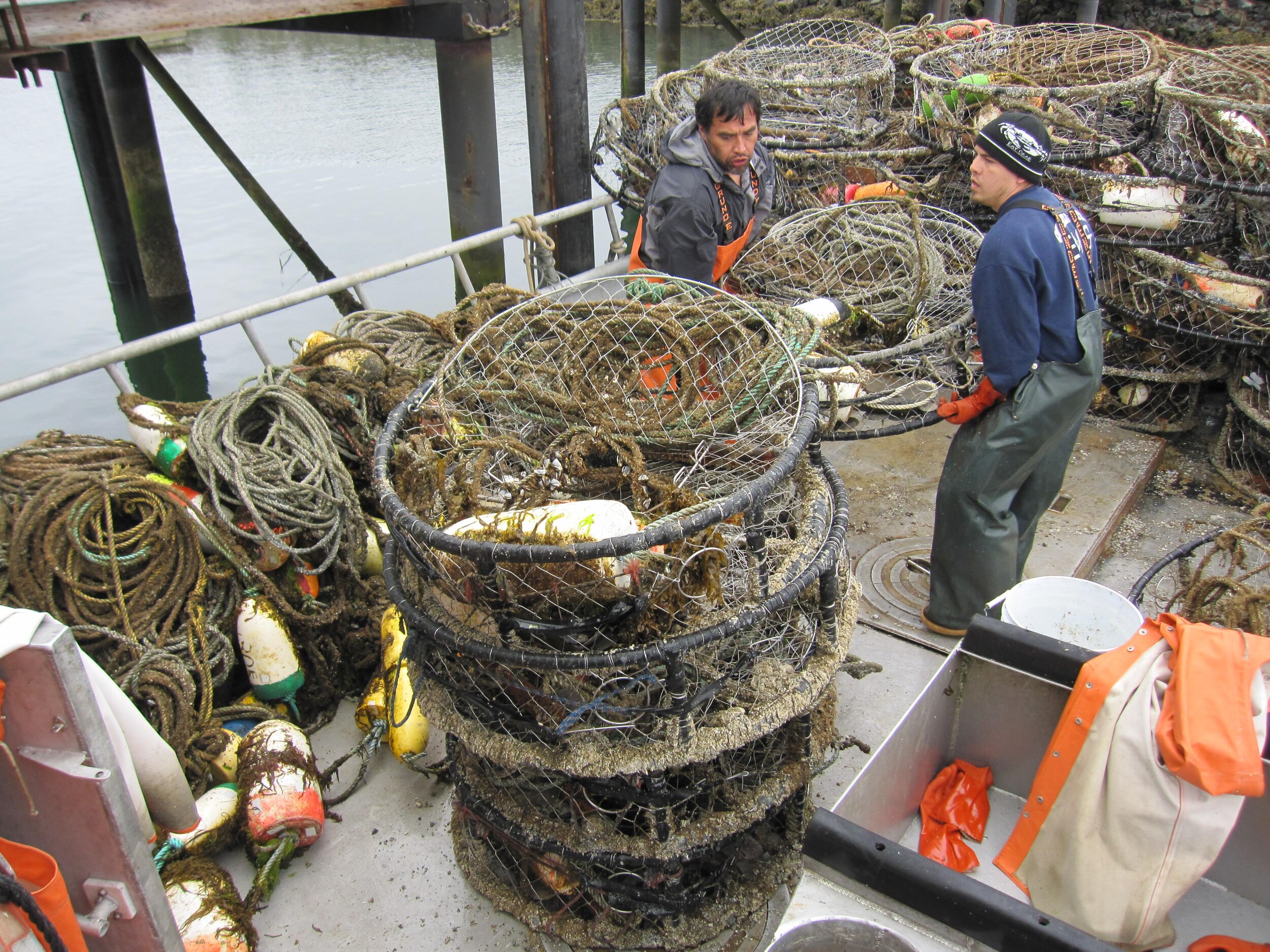  Healthy waters support abundant marine life, vital to coastal economies. Workers stack crab pots in Grays Harbor. Photo by Kyle Antonelis.  