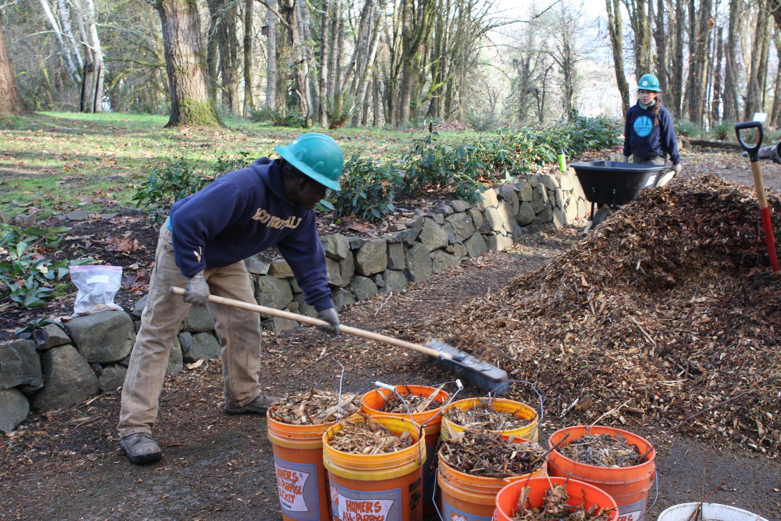  Suraj Alabede works on a habitat restoration project in Olympia’s West Bay Woods. Photo by Heather van Steenburgh. 