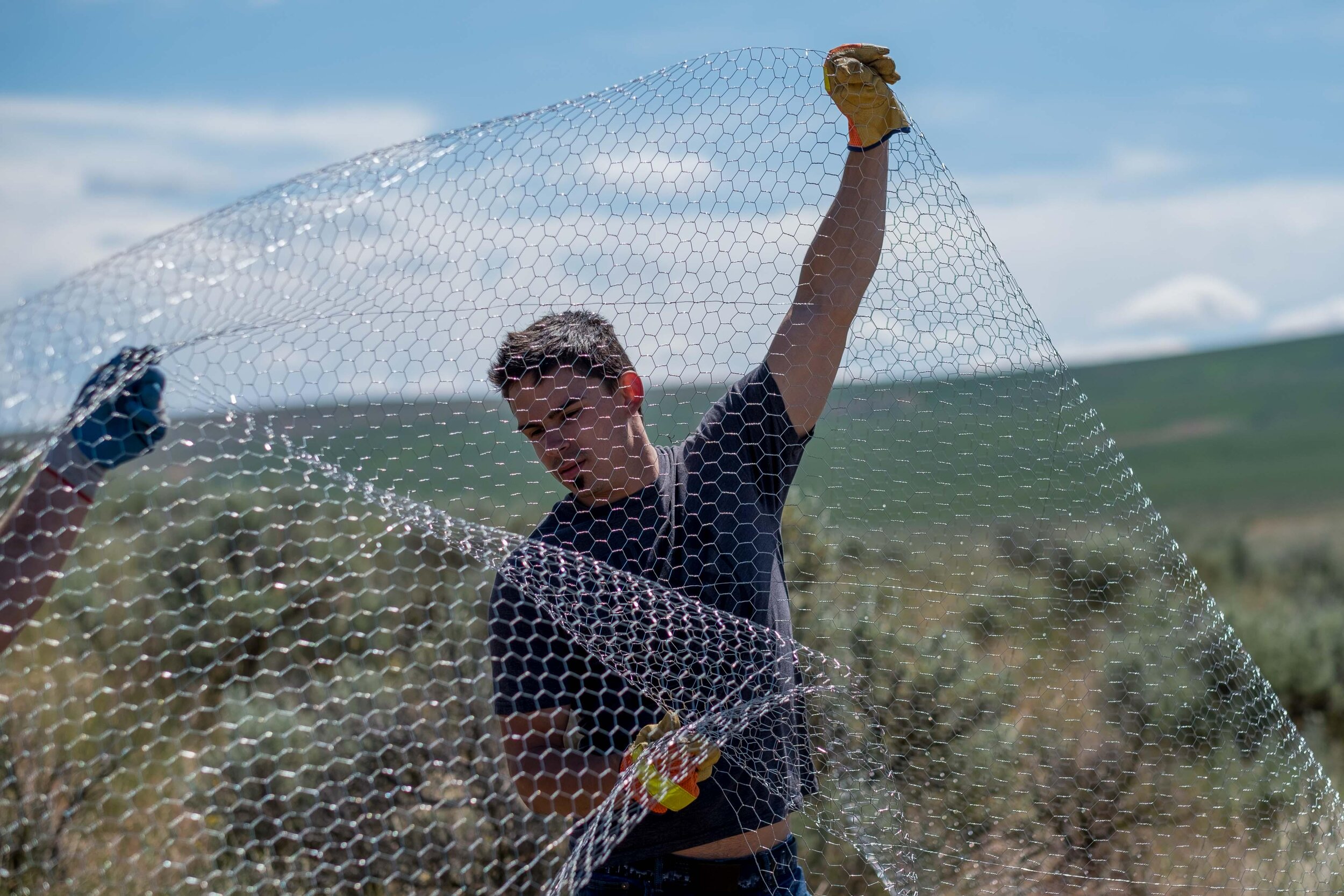  At work on a wildlife protection project near Moses Coulee in 2017. Photo by Kit Swartz. 