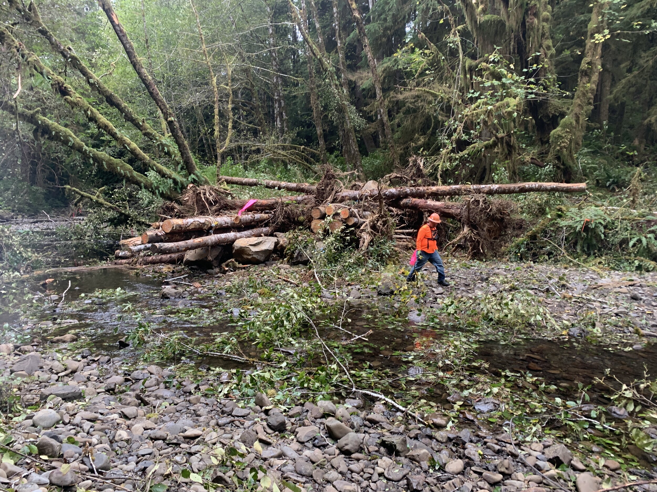 Heading to a safe place after flagging a log jam.