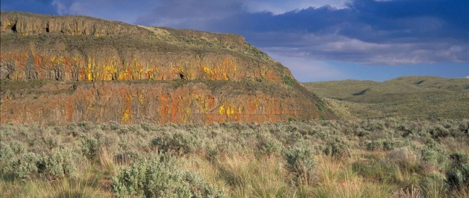 Shrub-steppe Fire Recovery &amp; Resilience