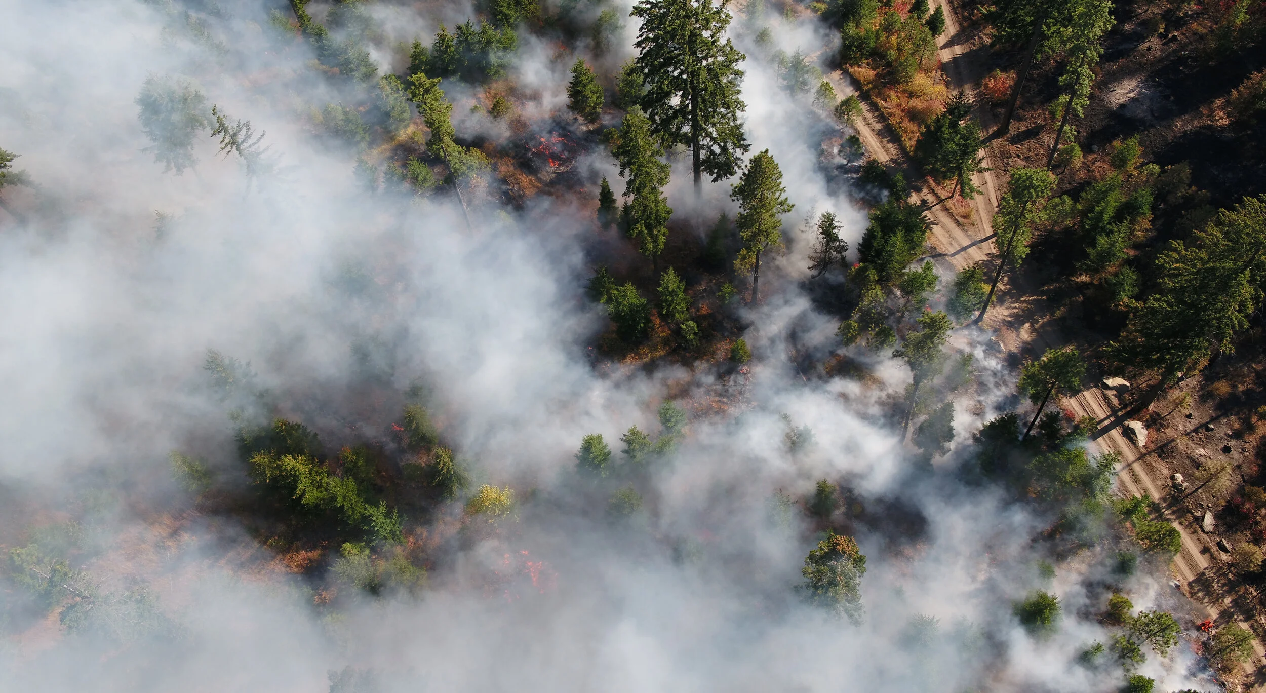 Make Your Voice Heard: Tell Lawmakers to Support Designated Fire Funding