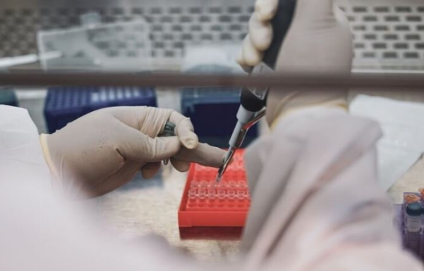 Environmental DNA &amp; Biodiversity Assessments: Small Tools With Big Impact