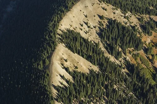 Eastern Washington Resilient Forest &amp; Communities Program