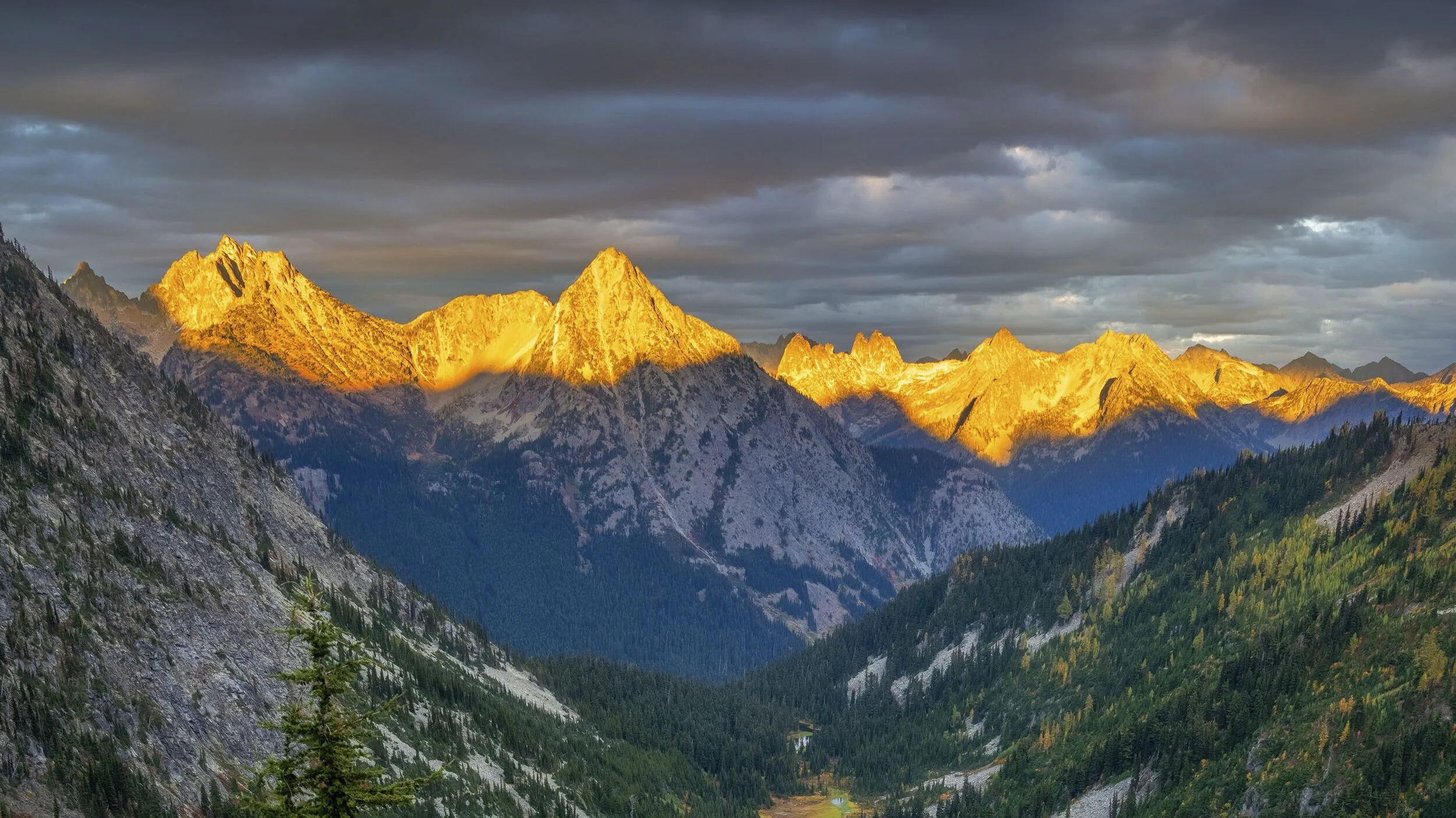 The Nature Conservancy In Washington