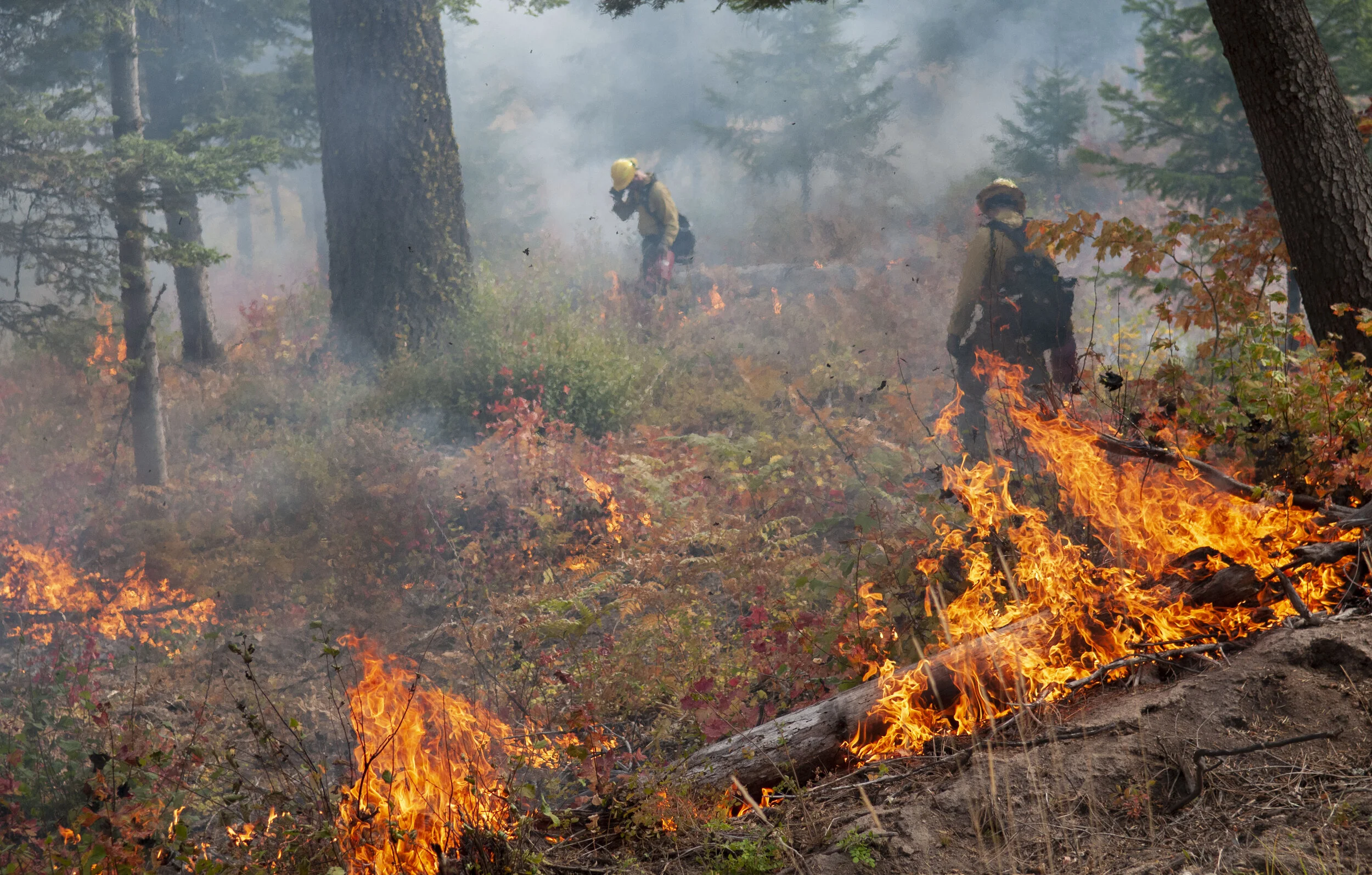 Thank You For Supporting Fire Funding