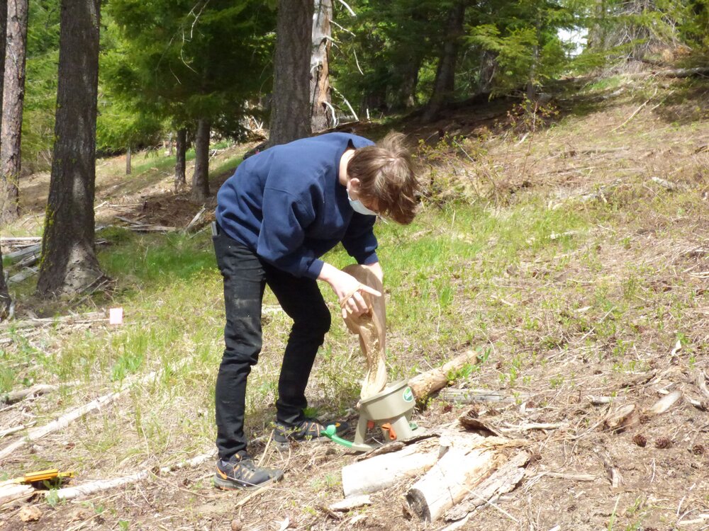 A student loads native grass seeds into a seed disperser. Photo courtesy of Swiftwater Learning Center.