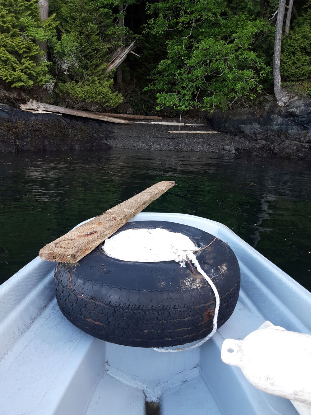You never know what you’ll find in the water, including this old tire.