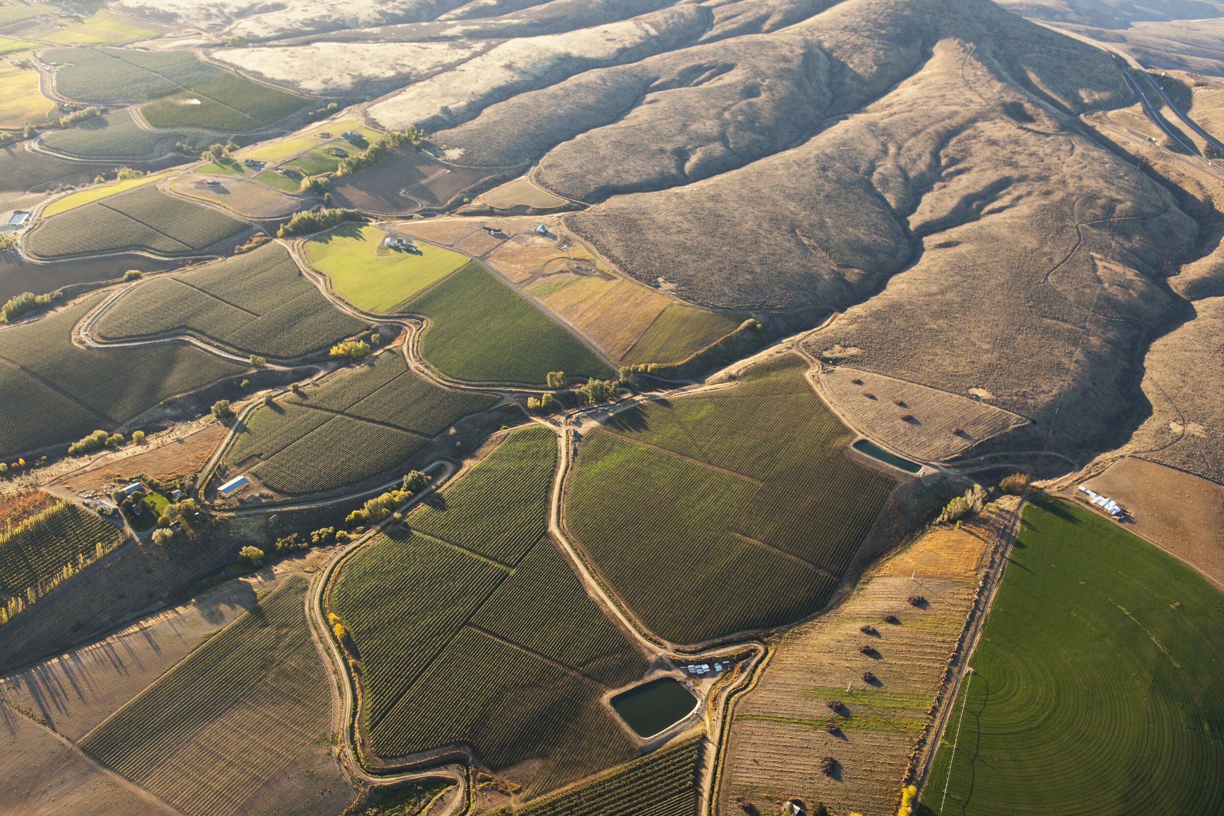 Irrigated farmland thanks to Yakima River by Benjamin Drummond.jpg