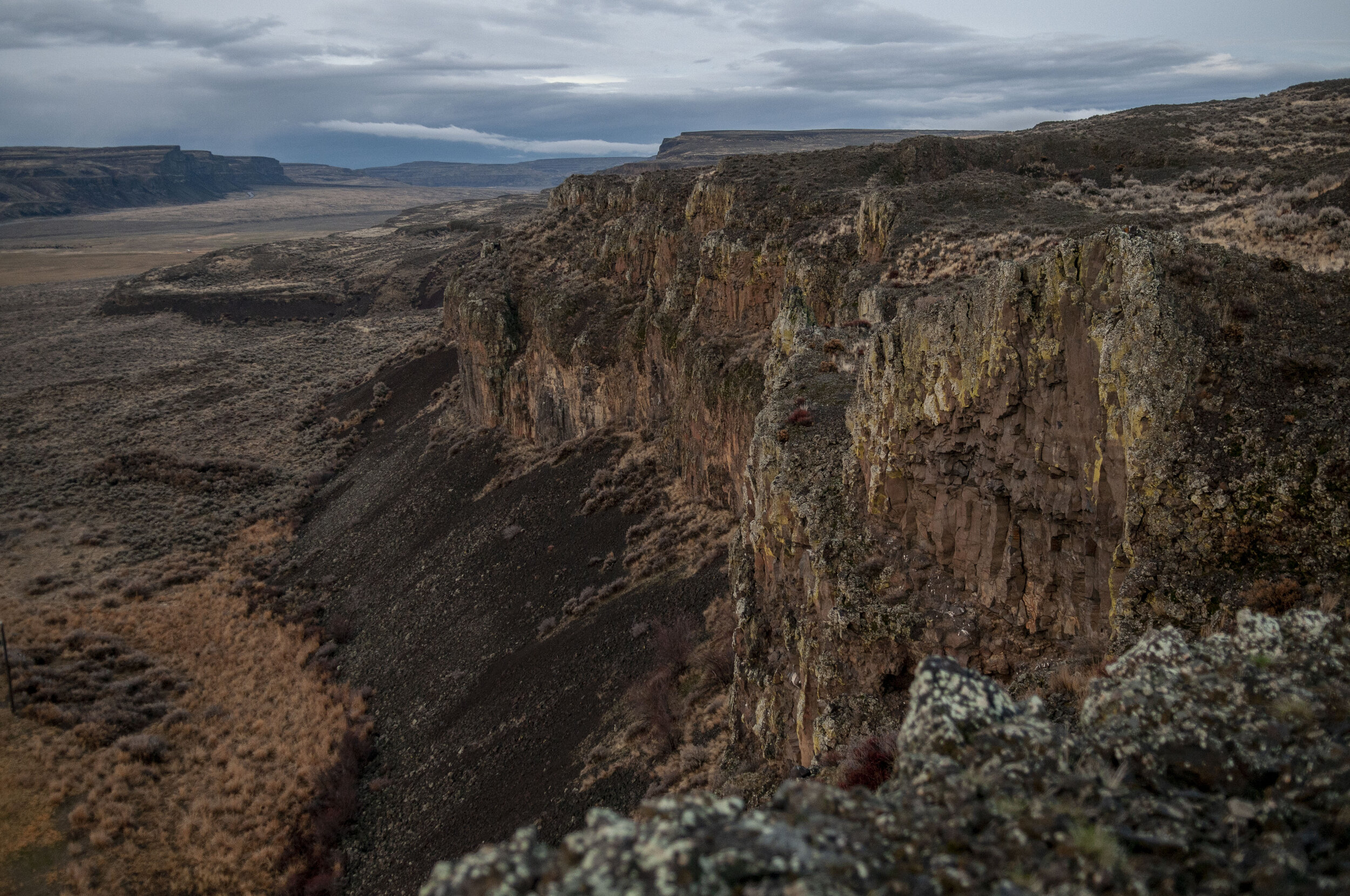 Meet Daniel Misch, Arid Lands Assistant Manager