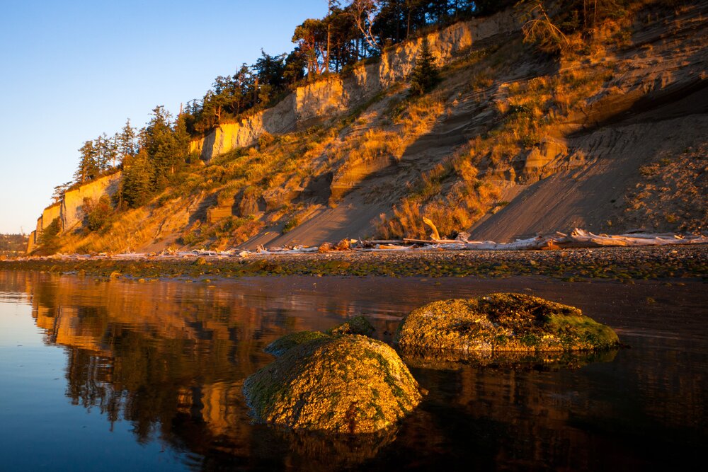 Natural shorelines with bluffs, like this one at Barnum Point on Camano Island, are important for feeding sediment into Puget Sound. Photo by Benj Drummond.