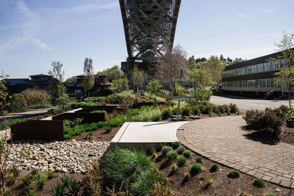 Bioswales, like this one under the Aurora Bridge in Seattle, filter polluted stormwater runoff before in runs into our waterways, making them cleaner and safer for salmon, people and anyone and everything that depends on the water. Photo by Courtney Baxter.