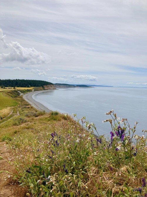 THE BLUFF TRAIL overlooking Admiralty Inlet. ©Emilie Pilchowski