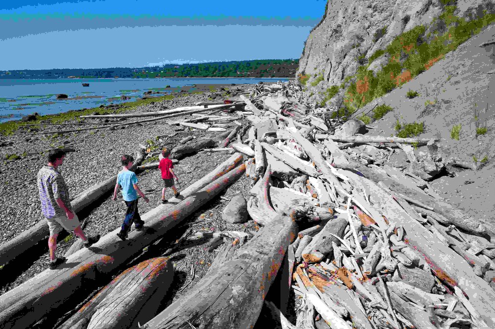 Driftwood at Barnum Point with Bob and his kids by Benj Drummond.jpg