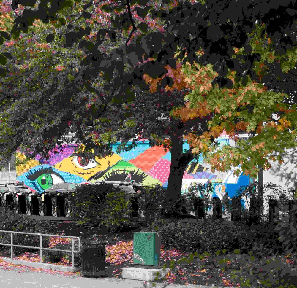 urban tree with street mural by Heather van Steenburgh.jpg