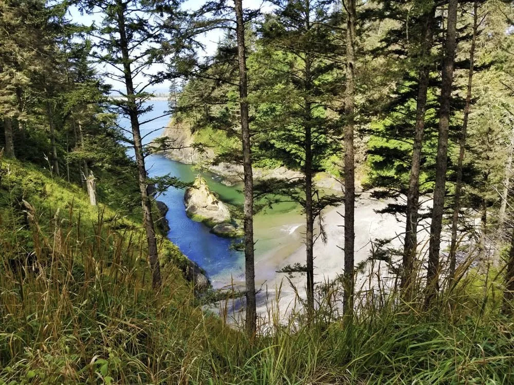 Speak Up for Building Back Better