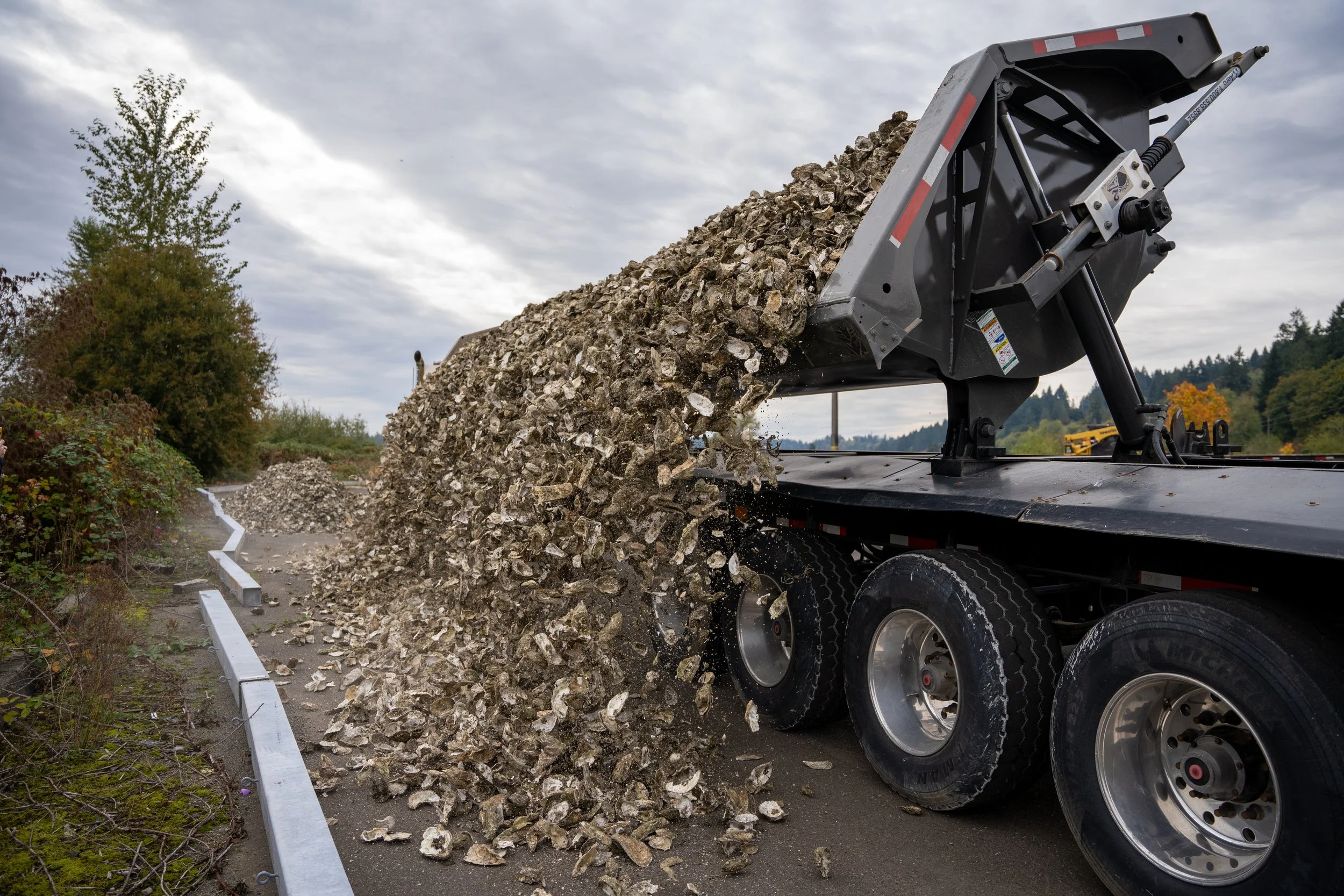 Farmed Oyster Shells Find Purpose for Native Oyster Restoration — The