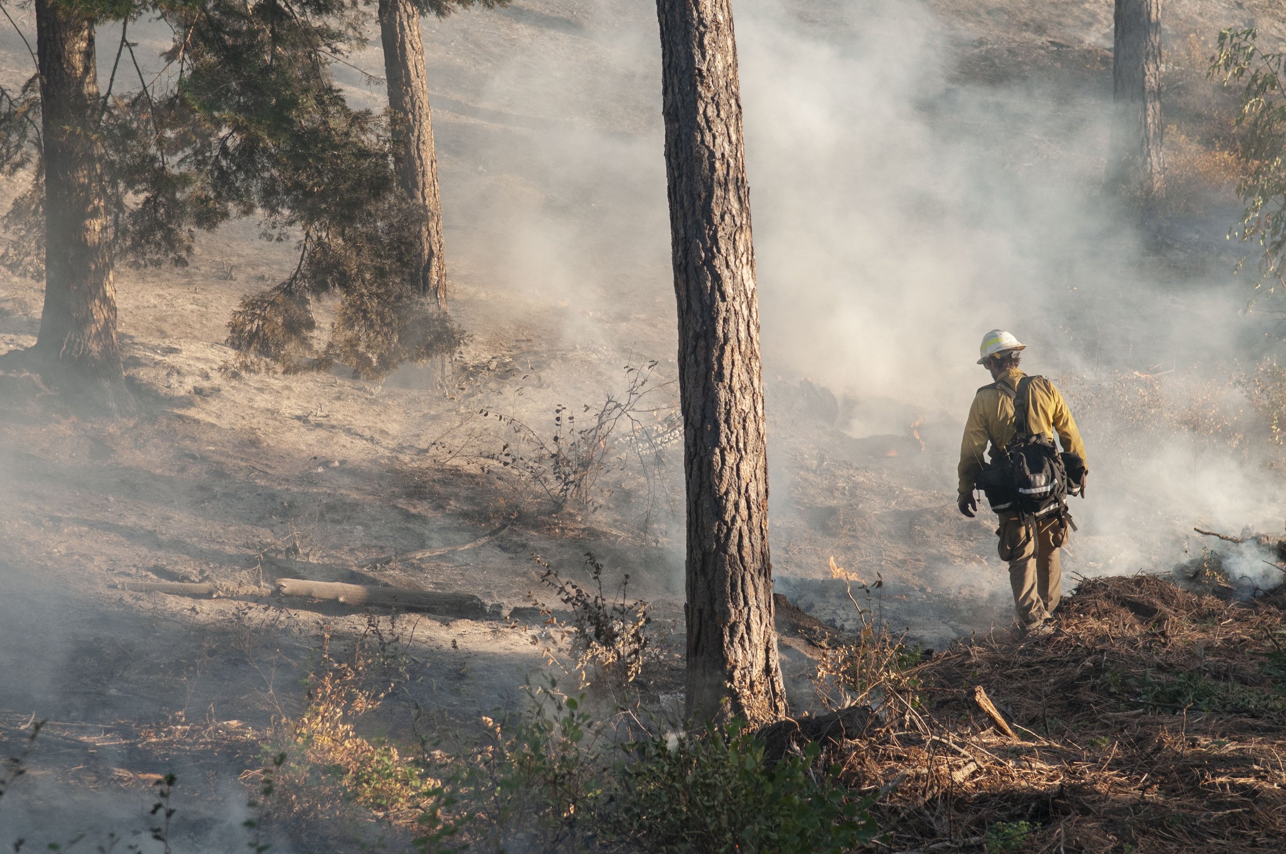 Congress and Forest Service Lead on Wildfire Strategy