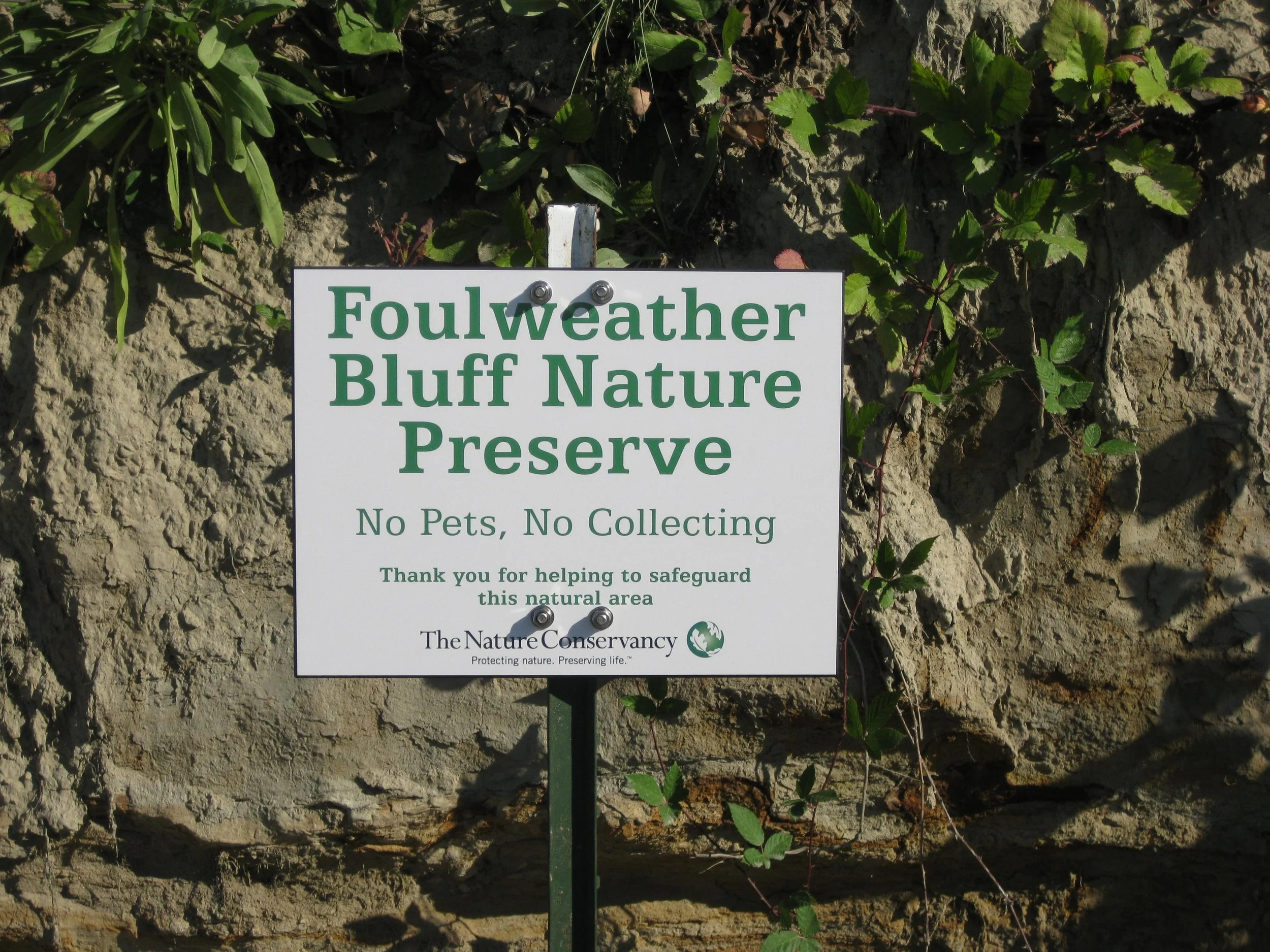 Work Party at Foulweather Blufff