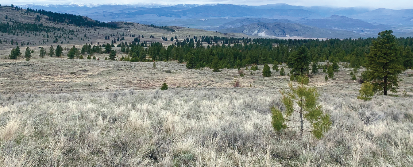 Barker Mountain Work Party