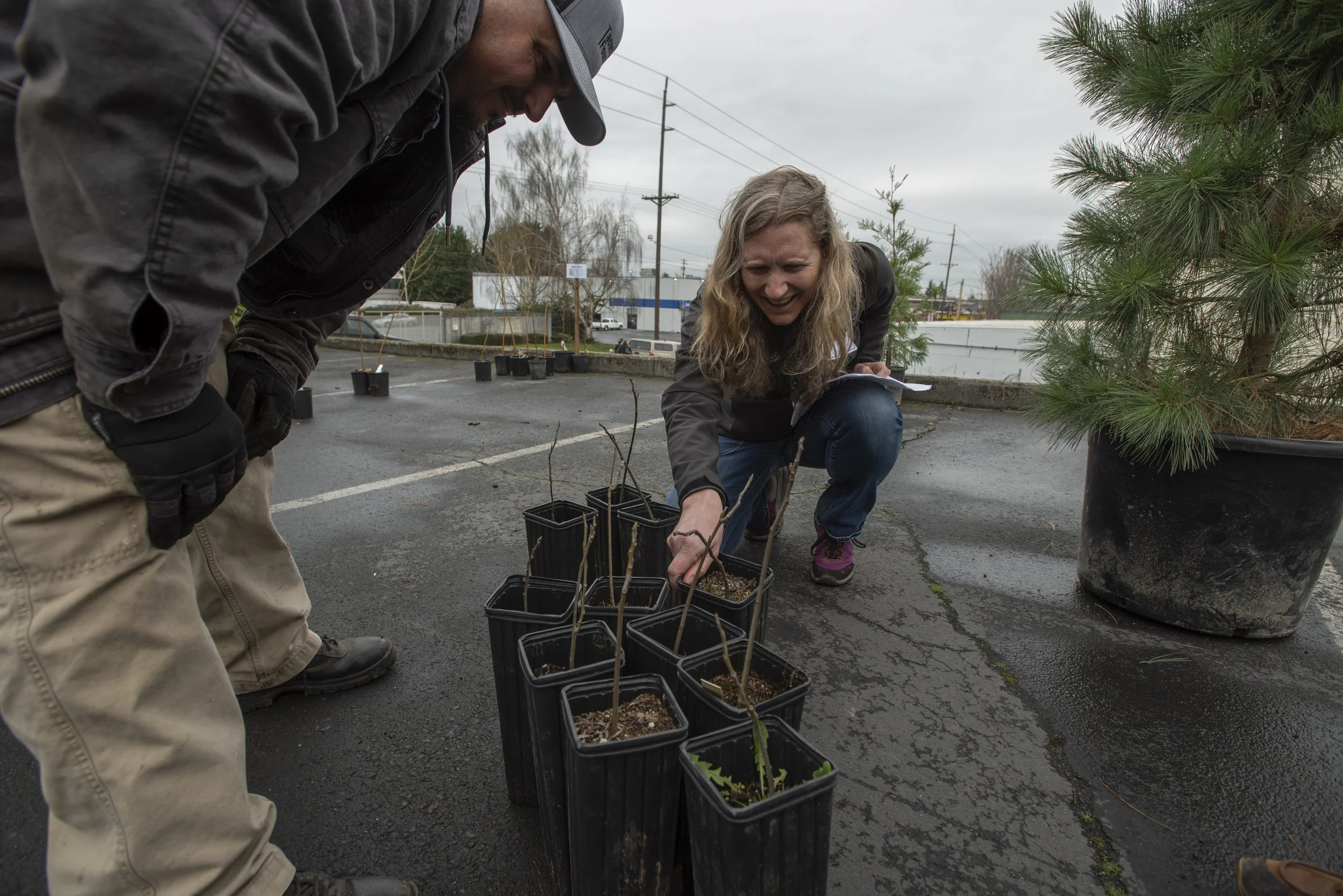 Rebuilding an Urban Tree Canopy: On the Ground with GRIT