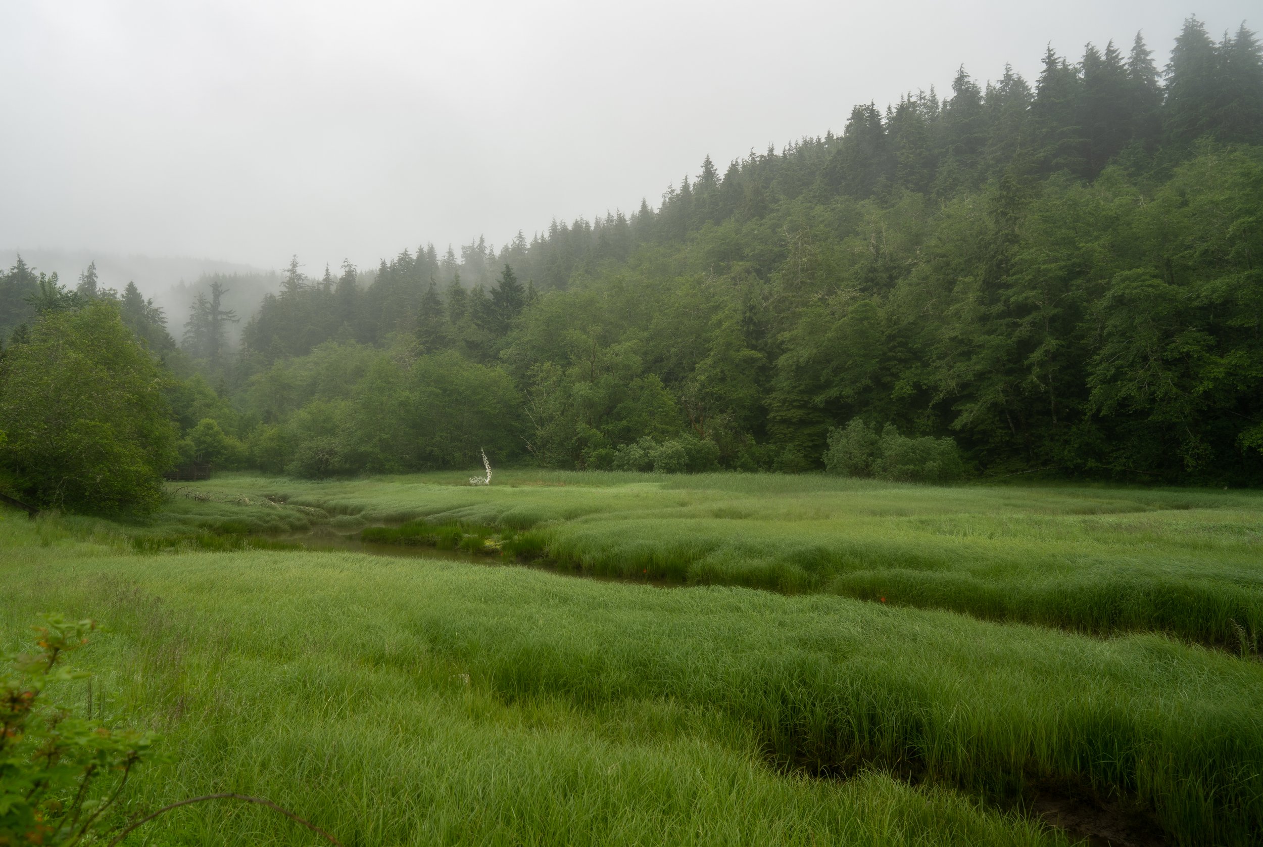 Traveling Chinook Lands and Waters