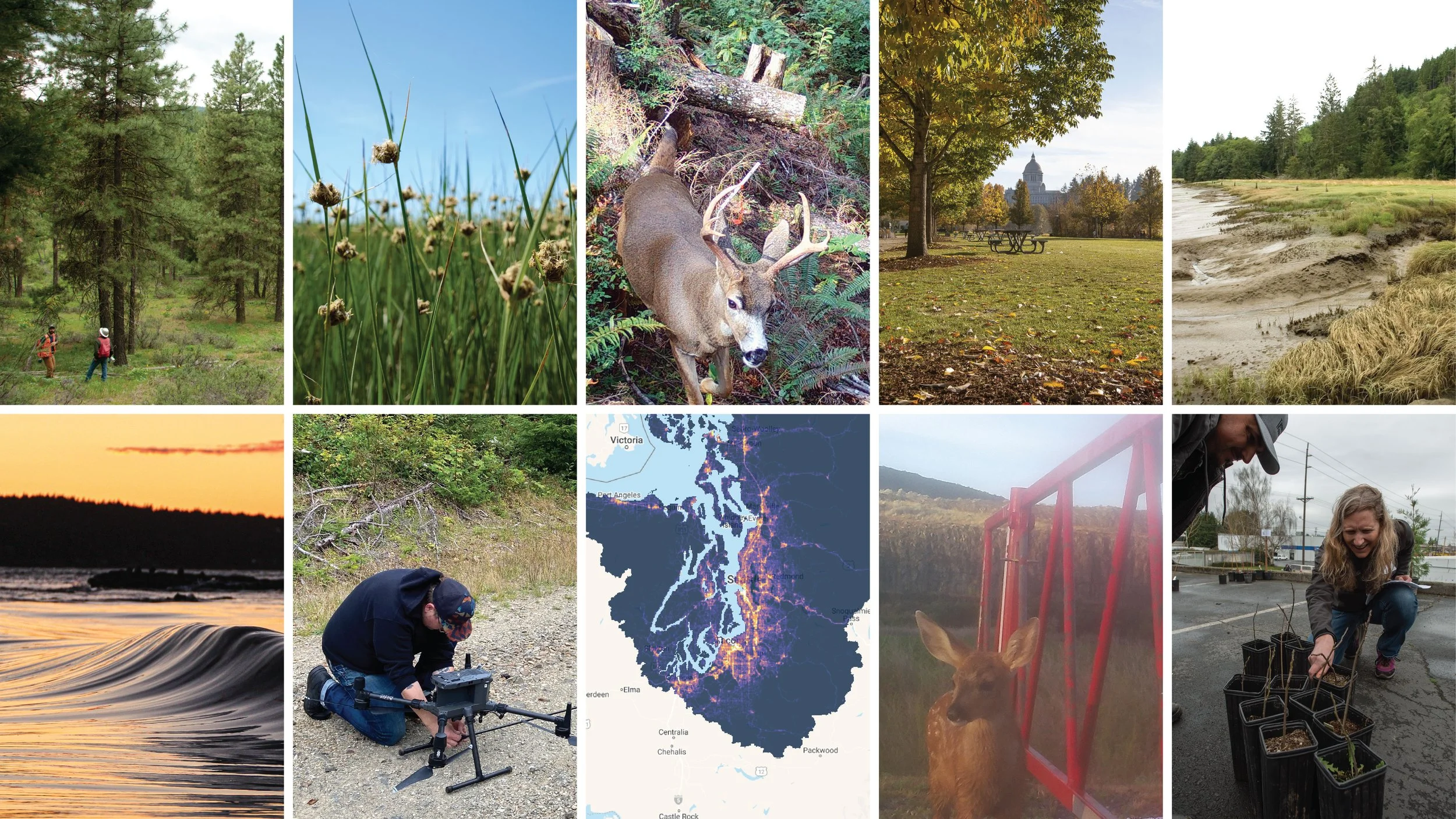 Celebrating 2022: Successes and Fun