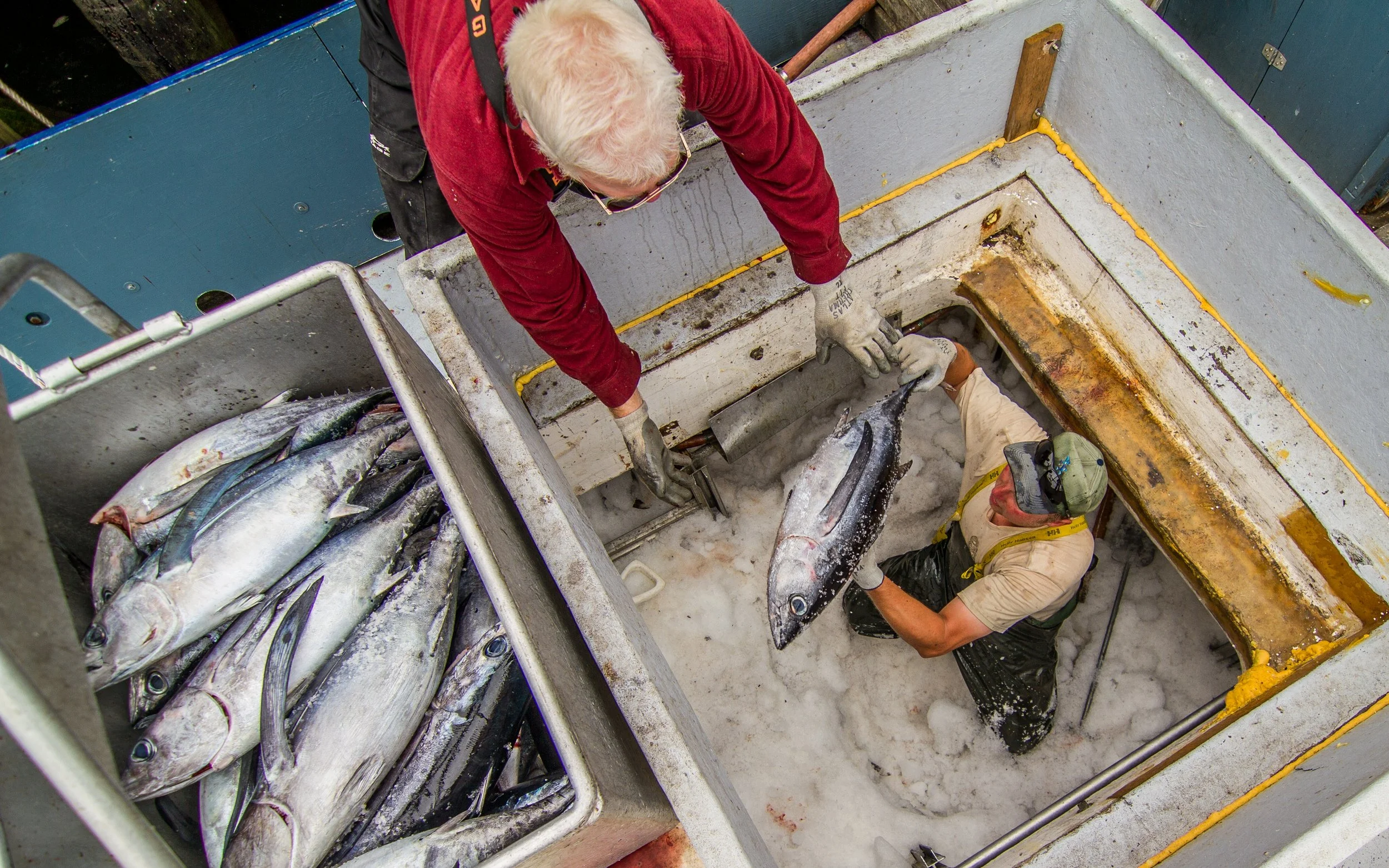 New Research: How do fishers view vulnerability and the impacts of climate change on fisheries?