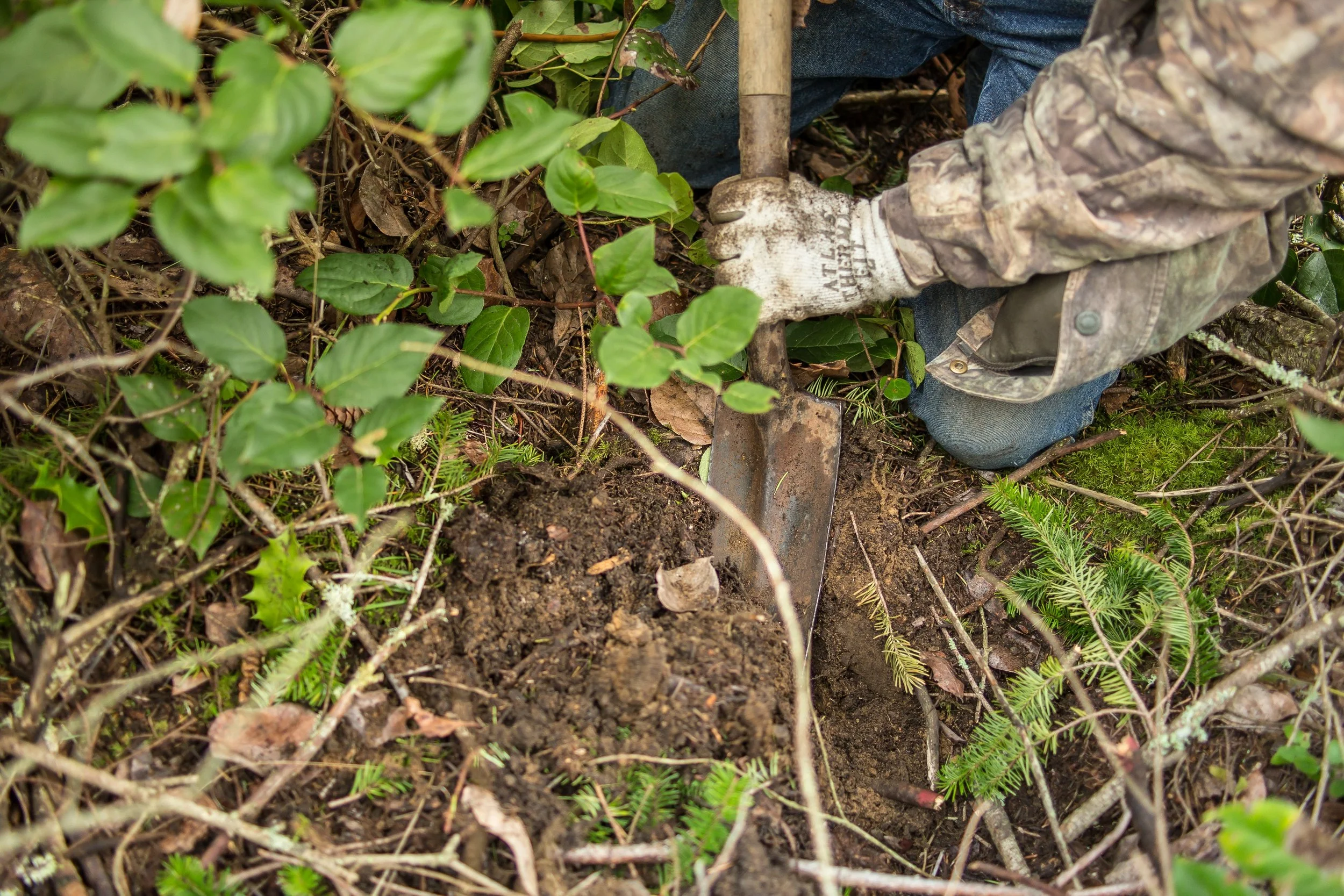 Virtual: Volunteer Info Session