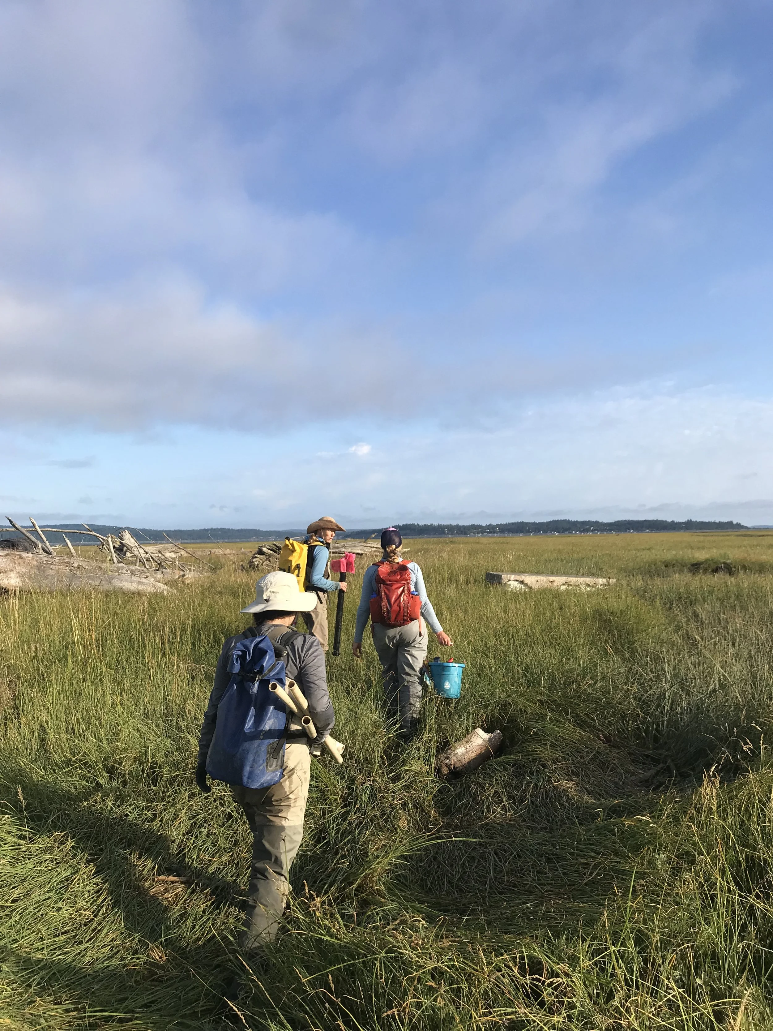 Summer Science Interns Find Connection in Conservation