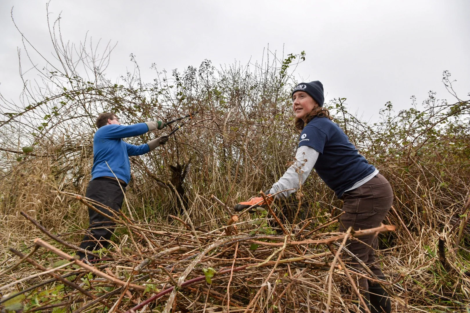 Livingston Bay Work Party