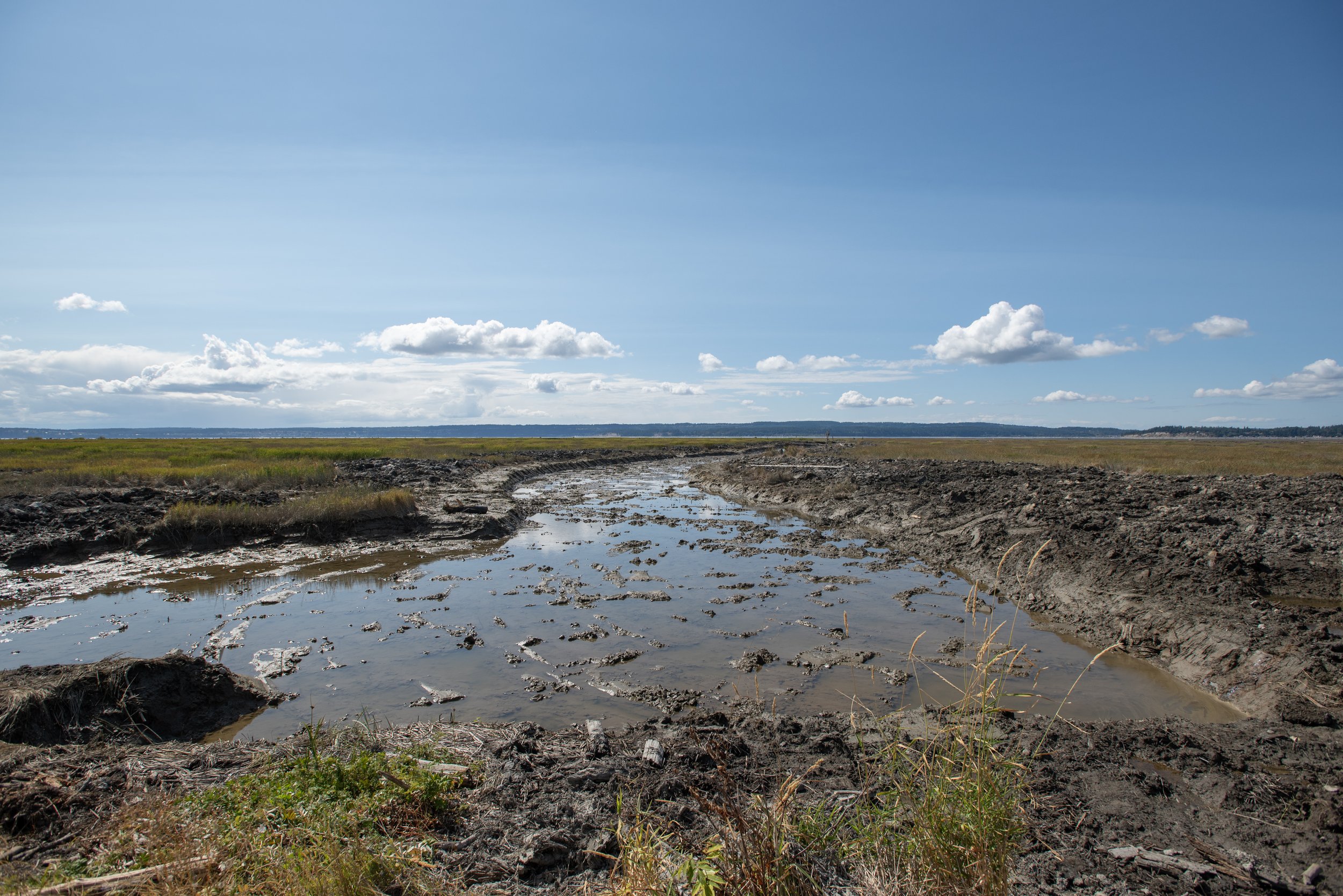 Recently excavated tidal channel at Port Susan Bay. © Hannah Letinich/TNC 