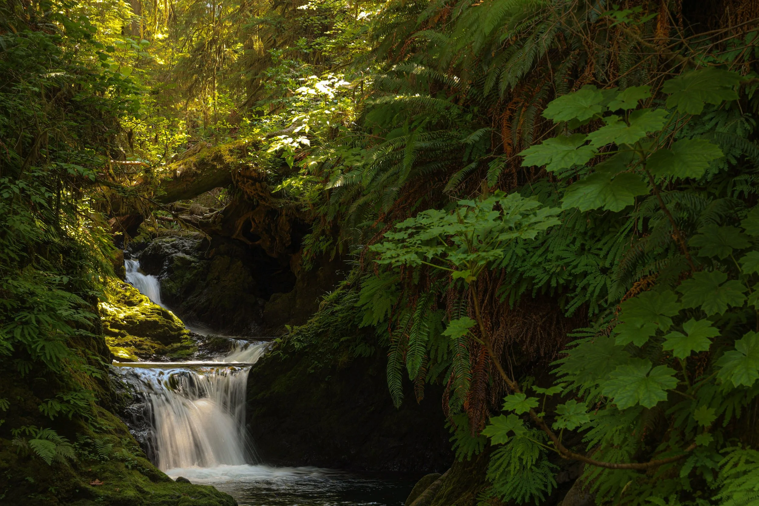 Seattle Times Opinion: Uphold Washington's Climate Commitment Act